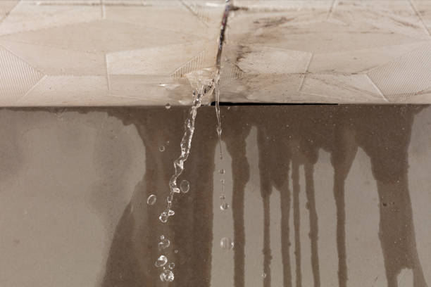 Professional Structural Drying technician working in Alto, TX